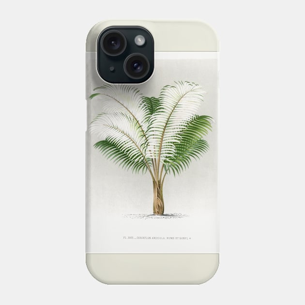 Andean wax palm vintage botanical art Phone Case by Veiovis