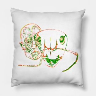 The Metamorphosis Pillow