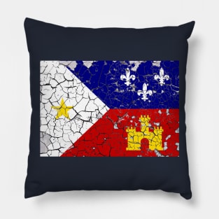 Peeling Acadiana Flag Pillow