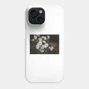 White Viburnum Flowers in Springtime Phone Case