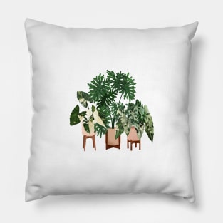 House Plants Illustration  30 Pillow