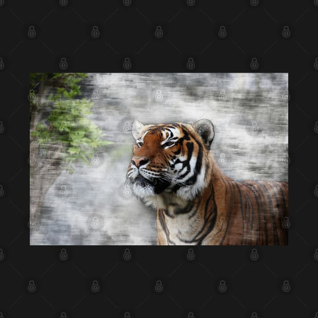 Siberian Tiger - 03 by hottehue