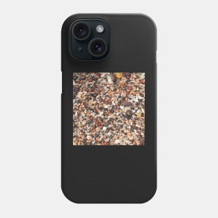 Beach rocks Phone Case