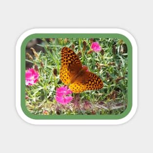 Little Orange Butterfly with Pink Dianthus Flowers Magnet