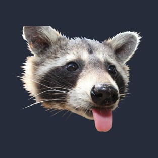 Silly Raccoon T-Shirt
