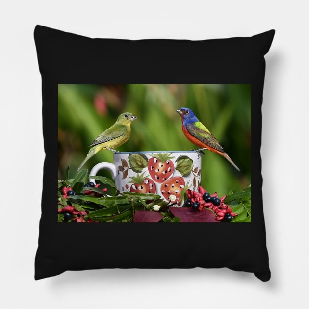 Painted Bunting Birds Pillow by candiscamera