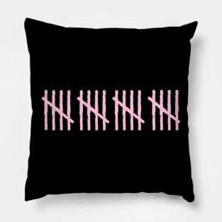 20th pink count Pillow