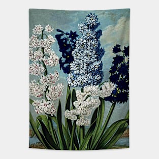 Botanical Art Temple Of Flora Hyacinths Tapestry