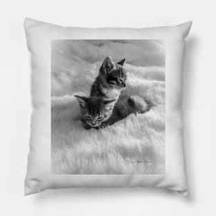 Cat's In The Cradle - Art 2 Pillow