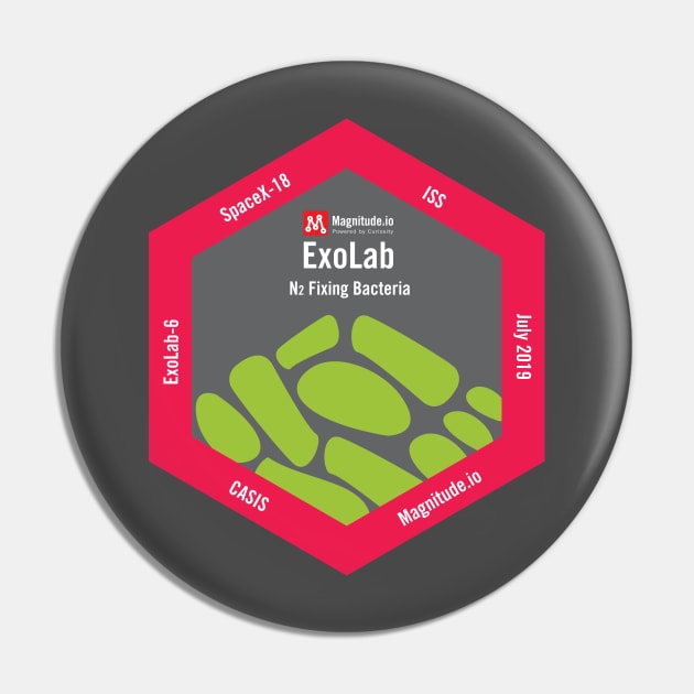 ExoLab6 Pin by mwmathsci