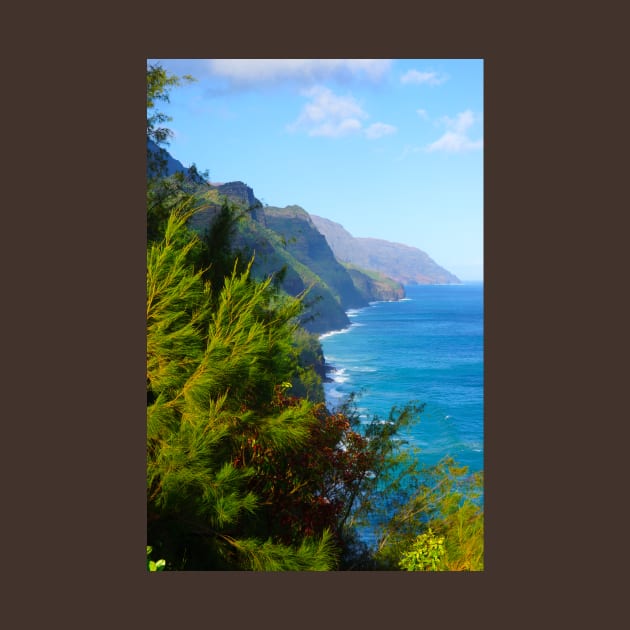 Kalalau Trail Kauai by Sky Studio Hawaii