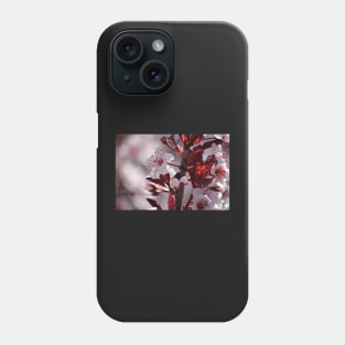 Japanese Cherry Tree (#2) Phone Case