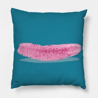 Save the planet | Loofah Pillow