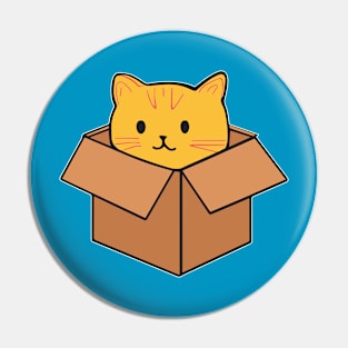 Cat sitting inside cardboard box - 02 Pin