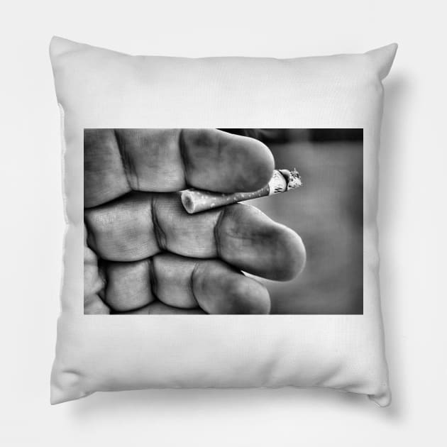 Old Habits Pillow by bgaynor