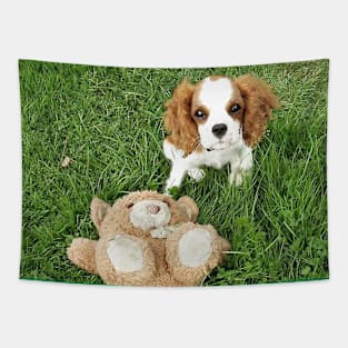 cavalier king charles spaniel blenheim puppy with toy Tapestry