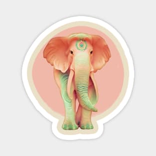 Pink Magic Elephant Magnet