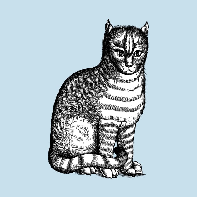 Sixteenth Century Tabby Cat or Brindle Cat by Pixelchicken