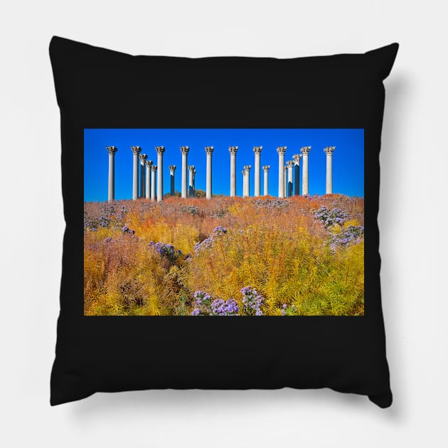 Capitol Arboretum Columns Pillow by somadjinn