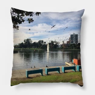 MacArthur Park Afternoon Pond View Pillow