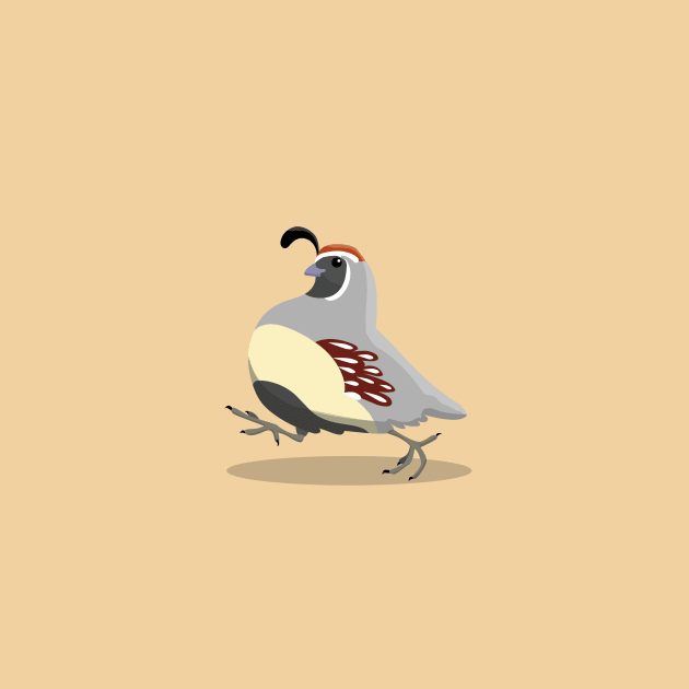 Gambell's quail by Zolinstudio