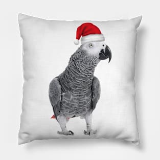 African Grey Pillow