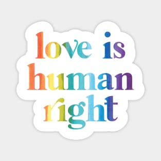 Love is human right Magnet