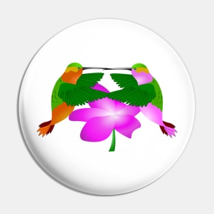 Hummingbird Pin