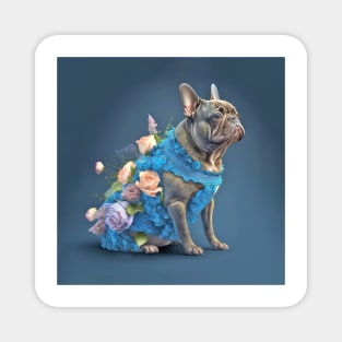 French Bulldog in Blue Dress Magnet