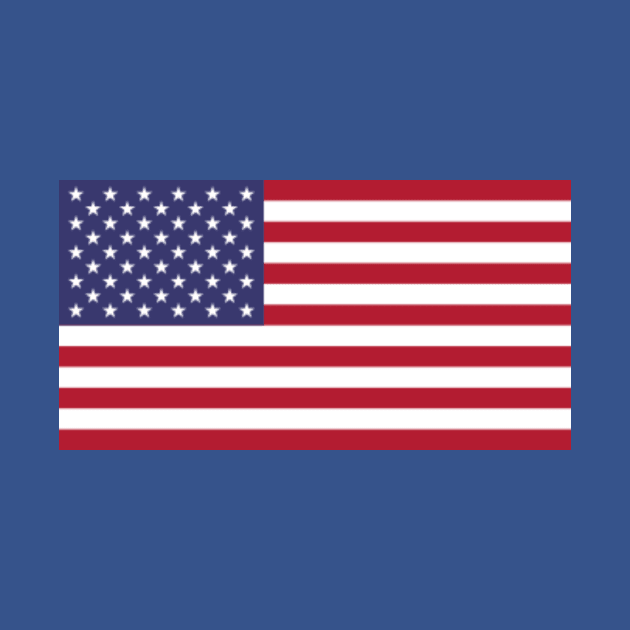 USA Flag by blazineclothing