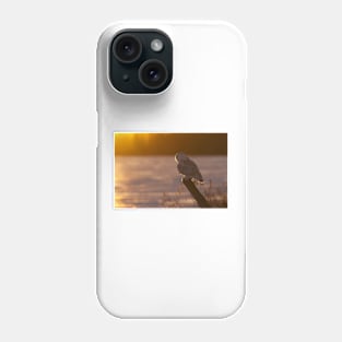 Sunset Hunter - Snowy Owl Phone Case