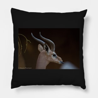 Majestic Antelope Pillow