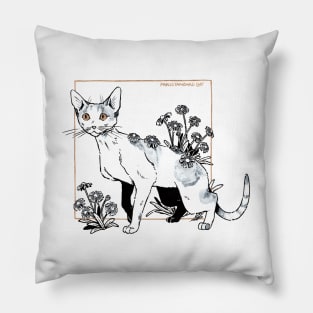 Devon rex Pillow