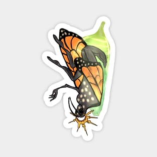 Humanoid Butterfly With Crown in Chrysalis Magnet