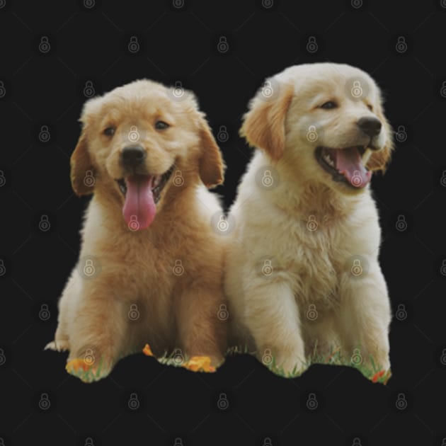 Two yellow Puppies by lavprints