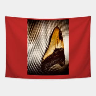 Industrially Prehistoric Tooth Tapestry