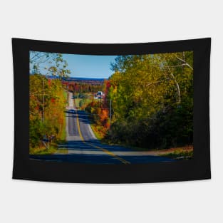 Country Road in Autumn Tapestry