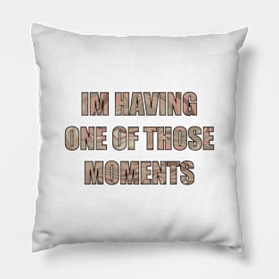 I’m having one of those moments Pillow