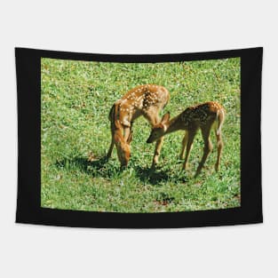 Little Fawns in the Sun Tapestry