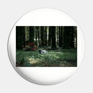 if a pug poops in the woods Pin