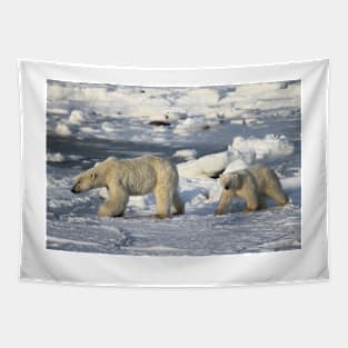 Polar Bear & Cub Walking on the Tundra, Churchill, Canada Tapestry