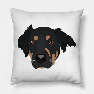 Setter Pillow