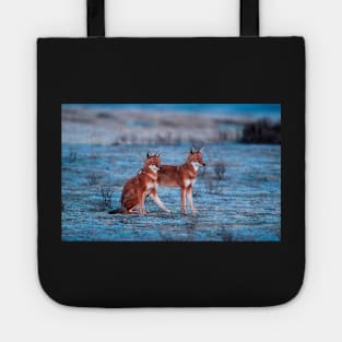 Red fox-amazing picture Tote