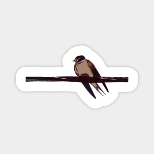 Swallow Bird Perched On a Wire Magnet