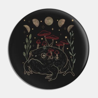 Dark Academia Moon Witchy Goblincore Aesthetic Frog Pin