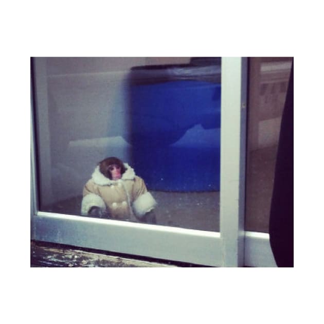 IKEA Monkey by FlashmanBiscuit