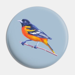 Baltimore Oriole - bird painting (no background) Pin