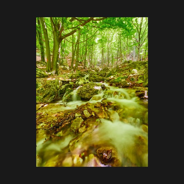 River flowing through rocks by naturalis