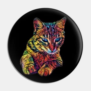 Colorful Cute Cat Pin