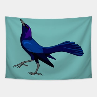 Boat-tailed Grackle - UPDATED! Tapestry